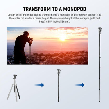 Koolstofvezel Camera Statief Monopod – Reisstatief – Camerastatief – Fotostatief – Videostatief – 360° Kogelkop – Ingeklapt 36,5 Cm, Draagvermogen 6 Kg