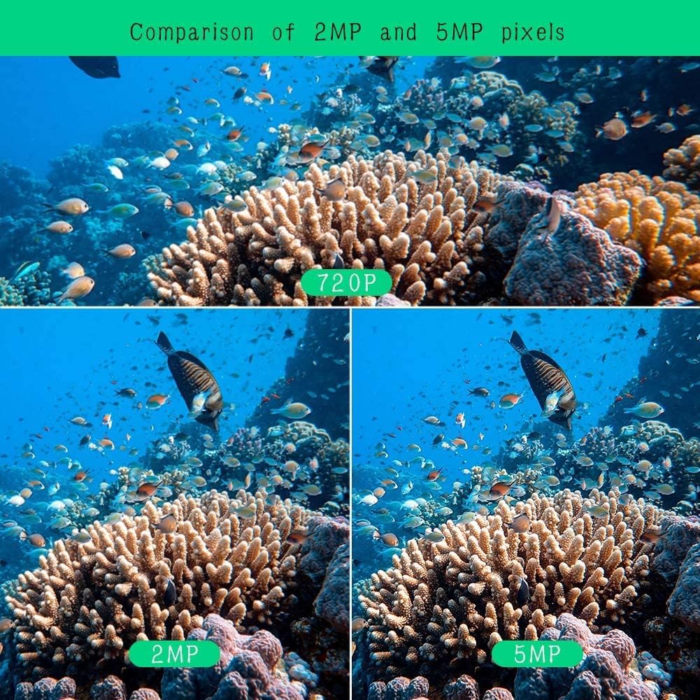 Onderwater camerasysteem – Beveiligingscamera – CCTV camera – Duikcamera – Viscamera – 5MP Full HD – IP68 Waterdicht – 1TB Harde Schijf – Nachtzicht – 32ft Kabel