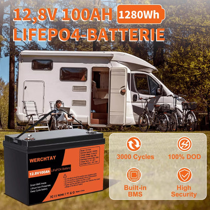 Li-ion accu – LiFePO4 batterij – Camper accu – Solar accu – Boot accu – 200Ah (2x100Ah) – Slim BMS – Laagtemperatuur bescherming
