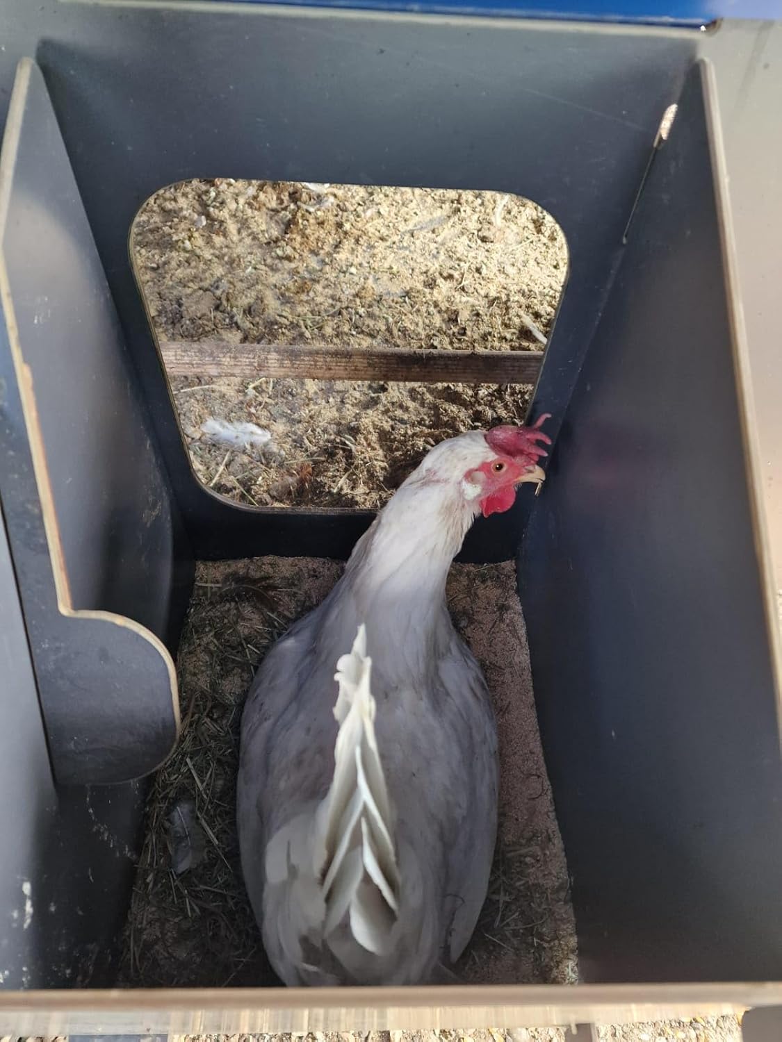 Chicken coop for 15 laying hens with ornaments POLLY CHALET 2XL GREY with 3 perches 2 nesting places outside safe door anti-predator (manual) anti-mite red (Made in Italy) - QUORE