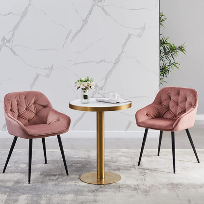 CLIPOP Dining Chair 2/4pcs Set Velvet Chair with Armrests and Metal Legs Upholstered Chair Kitchen Chair Lounge Chair Leisure Chair (2, Rose)