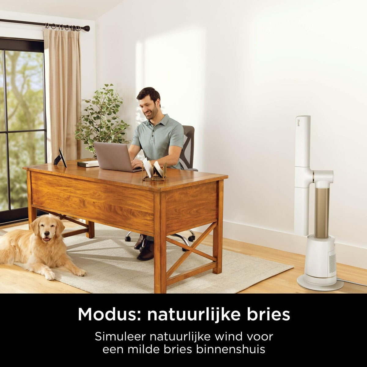 Bladloze Torenventilator Duifgrijs – Torenventilator, Ventilator, Bladloze Ventilator, Koelventilator – Tot 20 Meter Luchtbereik – 10 Snelheden, 180° Oscillatie