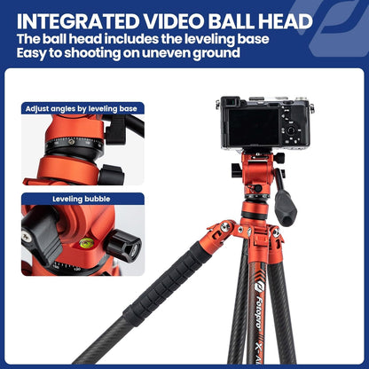 Professioneel Reisstatief Van Koolstofvezel – Camerastatief – Videostatief – Fotostatief – Tripod – Vloeiende Statiefkop – Ultralicht 1,07 kg En Tot 10 kg Draagvermogen