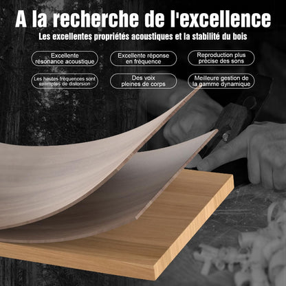 Hiwill 5.2.2ch soundbar voor tv-apparaten met Dolby Atmos, 400W alles-in-één tv-soundbar met 2 geïntegreerde subwoofers, houten behuizing home cinema-geluidssysteem, luidsprekers voor televisies, HDMI