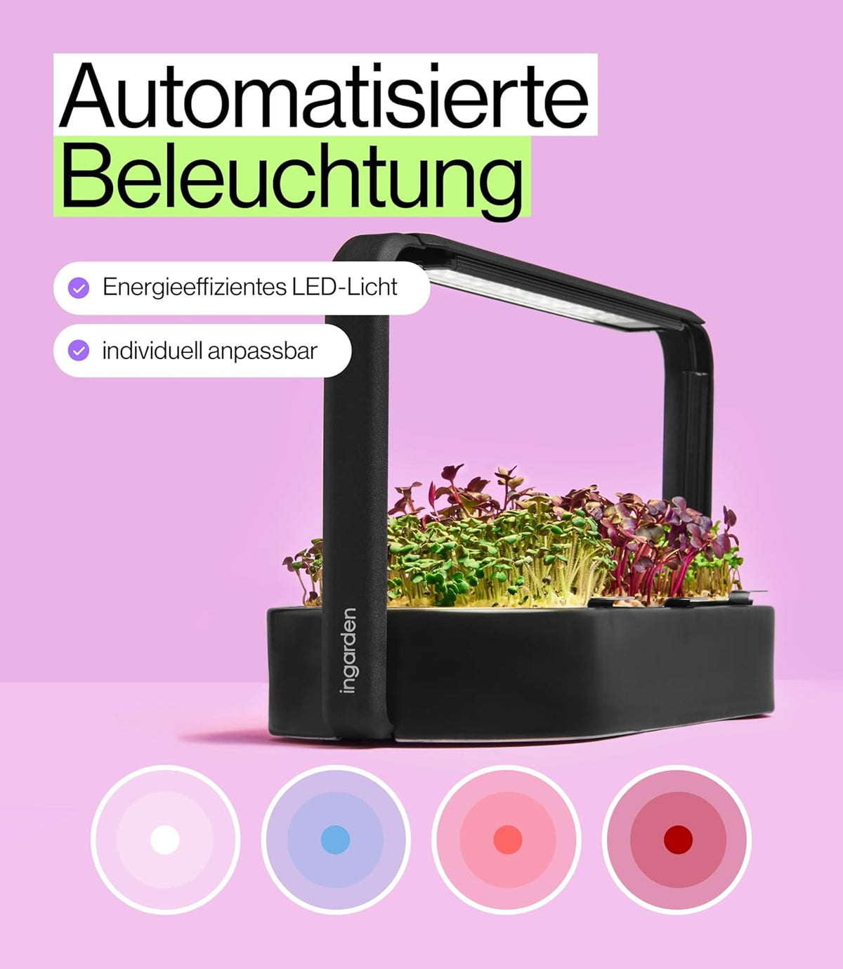 Smart Garden Starter Set - Indoor Garden met LED voor microgreens - incl. 12 biologische zaadpads - schaal van keramiek vulkanzwart - Scandinavisch design - klaar voor oogsten in slechts 7