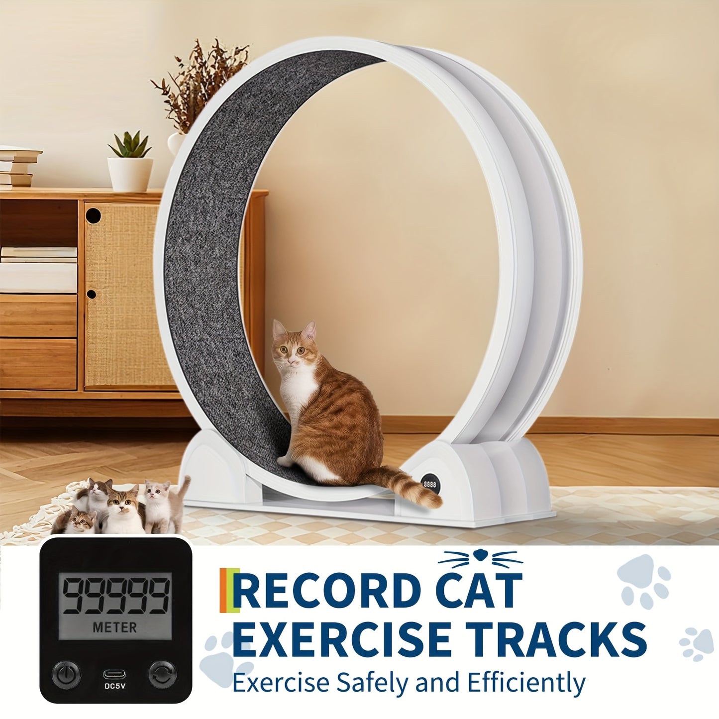 Kattenrad – Kattenloopwiel – Looprad Voor Katten – Huisdieren Rad – Binnen Speelrad – Extra Groot 114,3 cm – Stil En Met Ingebouwde Pedometer – Robuust ABS Materiaal