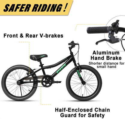 AVASTA 20 inch fiets BAG1006YS20bk