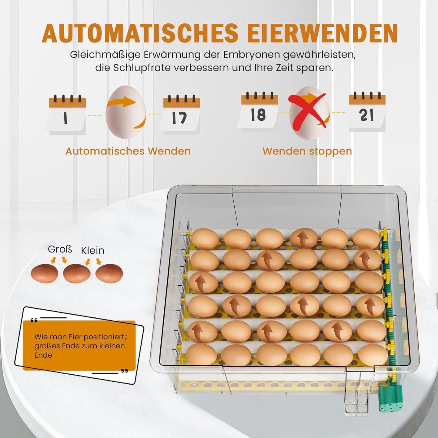 Broedmachine, volautomatisch, 36 eieren, incubator met 5 automatische broedmodi, broedmachine met temperatuurregeling, vochtweergave en eierverlichting, voor kippen, eenden, ganzen en