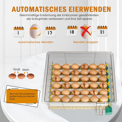Broedmachine, volautomatisch, 36 eieren, incubator met 5 automatische broedmodi, broedmachine met temperatuurregeling, vochtweergave en eierverlichting, voor kippen, eenden, ganzen en