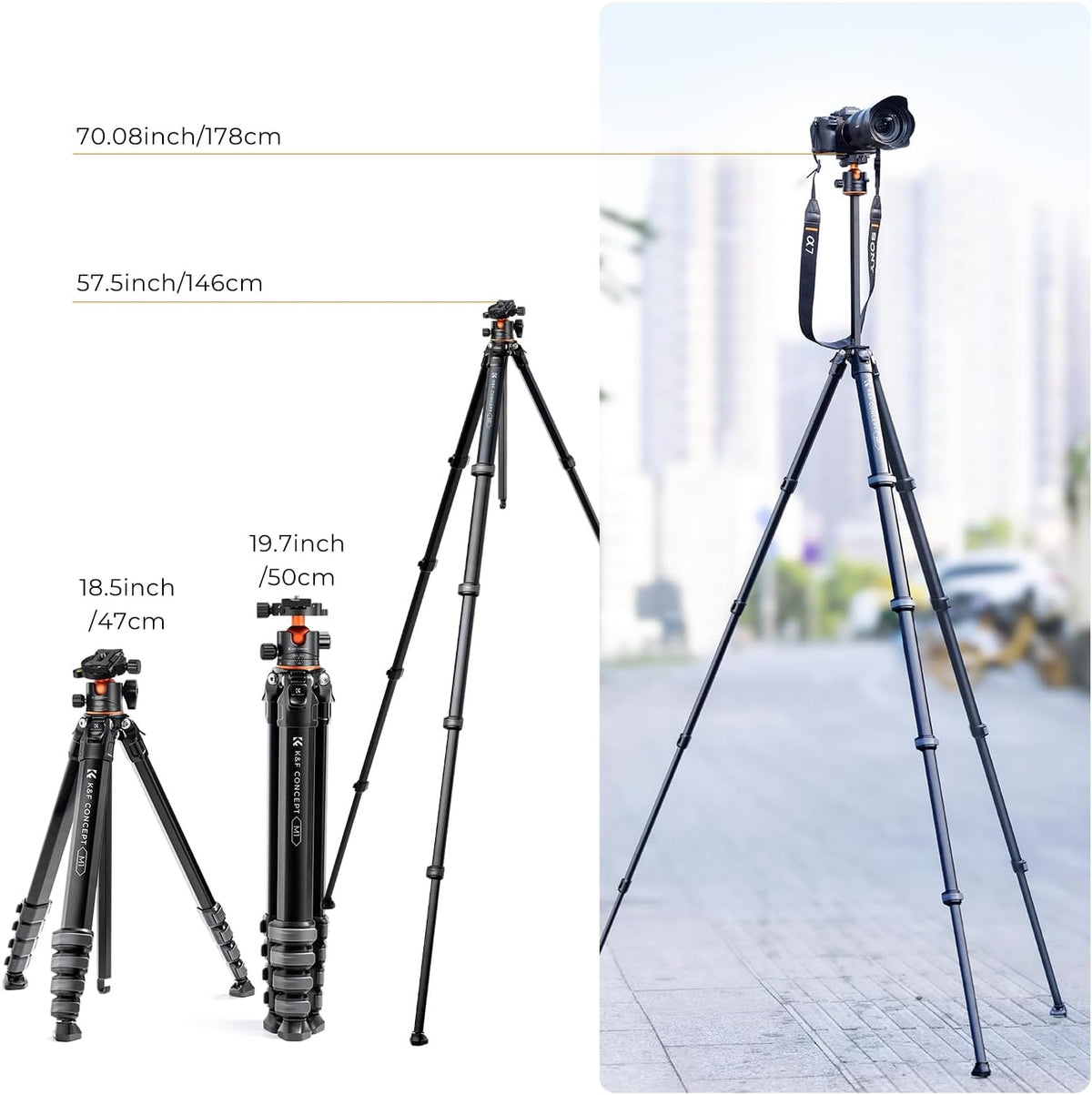 Camerastatief – Fotostatief – Reisstatief – Videostatief – DSLR Statief – Verstelbaar Van 48 Tot 177 Cm – Aluminium Met 15 Kg Draagvermogen