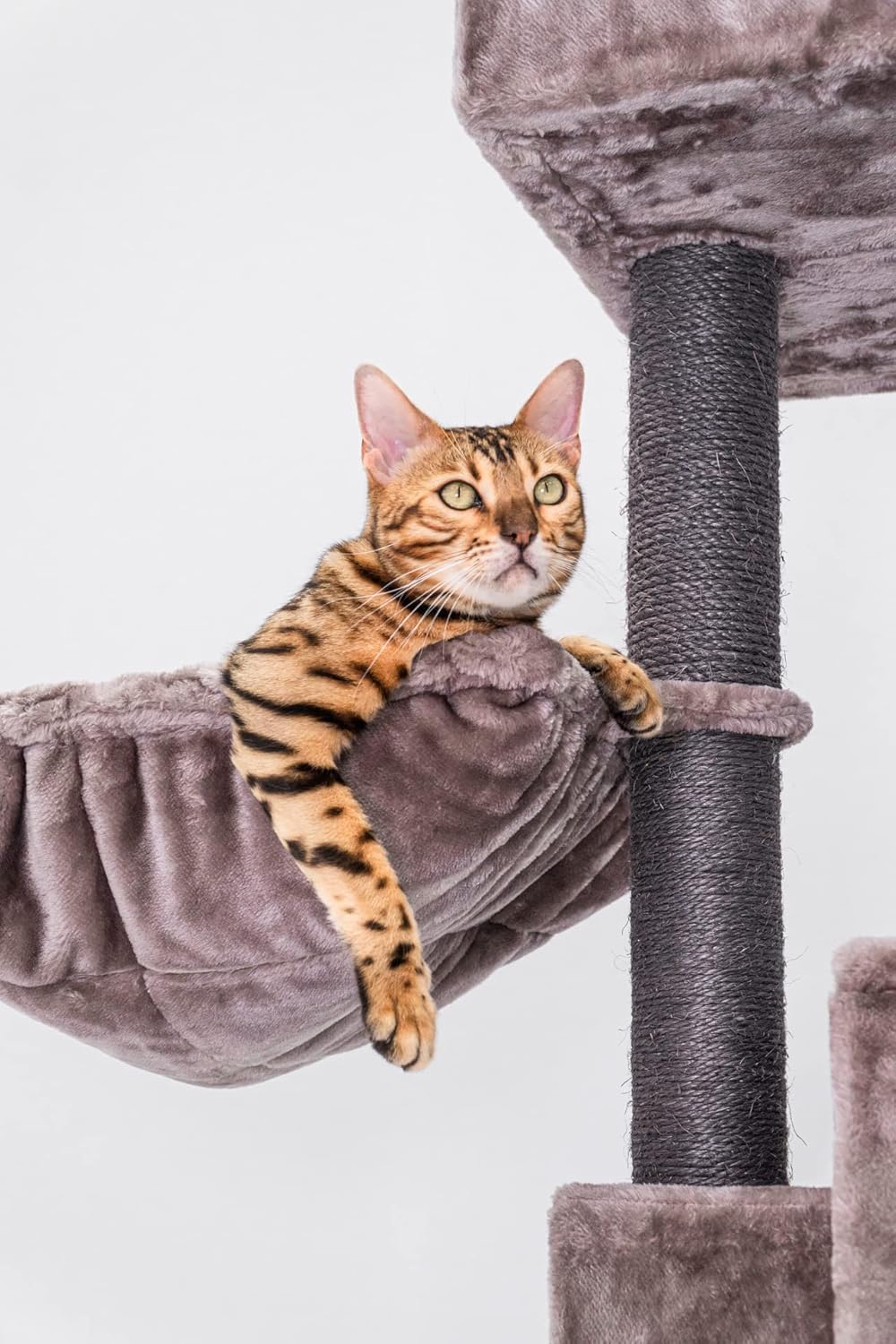 Krabpaal – Krabboom – Kattenboom – Kattenmeubel – Klimpaal – Luxe Cappuccino Design – Extra Dikke Sisalstammen Ø9 cm – Ruime Lange Loungemand