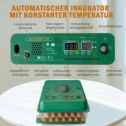 Broedmachine, volautomatisch, 36 eieren, incubator met 5 automatische broedmodi, broedmachine met temperatuurregeling, vochtweergave en eierverlichting, voor kippen, eenden, ganzen en