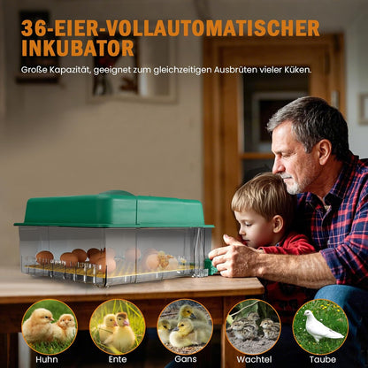 Broedmachine, volautomatisch, 36 eieren, incubator met 5 automatische broedmodi, broedmachine met temperatuurregeling, vochtweergave en eierverlichting, voor kippen, eenden, ganzen en