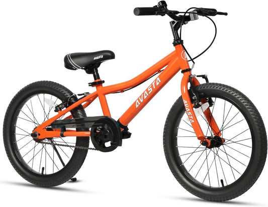 AVASTA 20 inch fiets BAG1006YS20or