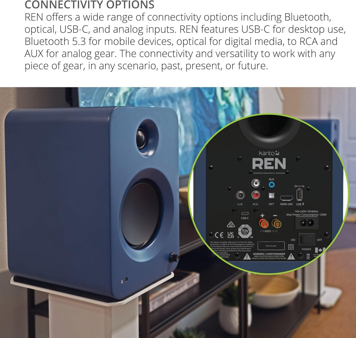 Kanto REN 200W Powered Speaker System with HDMI ARC Input for TV & Home Theater | USB-C and Bluetooth 5.3 | High/Low Pass Filter | Pair | Matte Blue