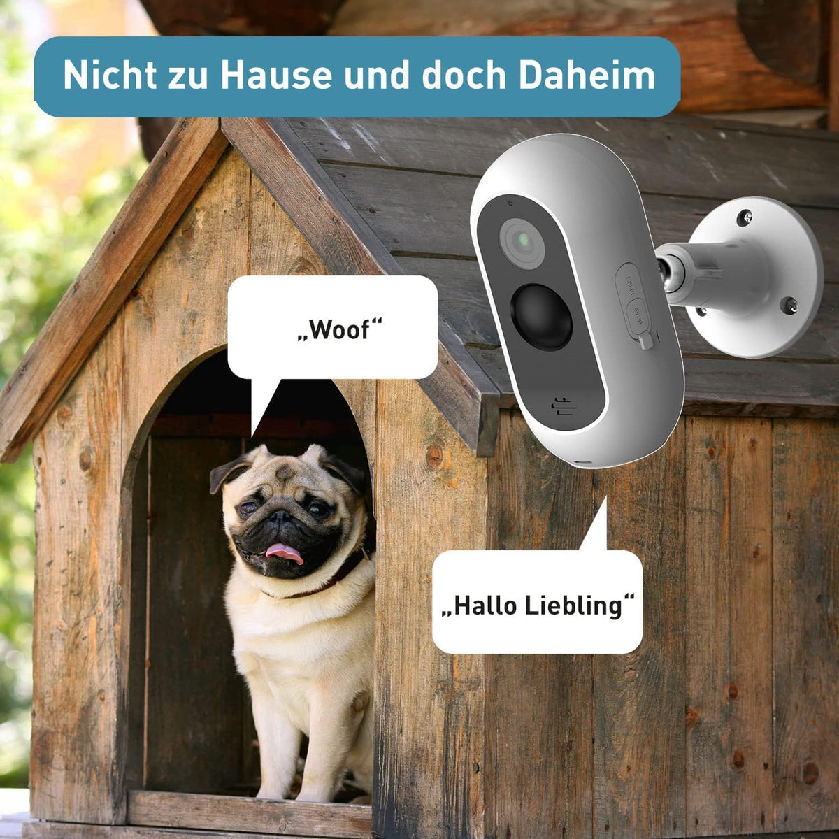 PetTec® Cam Free 2-delige set - Draadloze huisdiercamera hondencamera met app [ZONDER ABONNEMENT] - Katten & honden camera binnen/buiten - Bewegingsdetectie & spraakfunctie - Batterij tot 9 maanden
