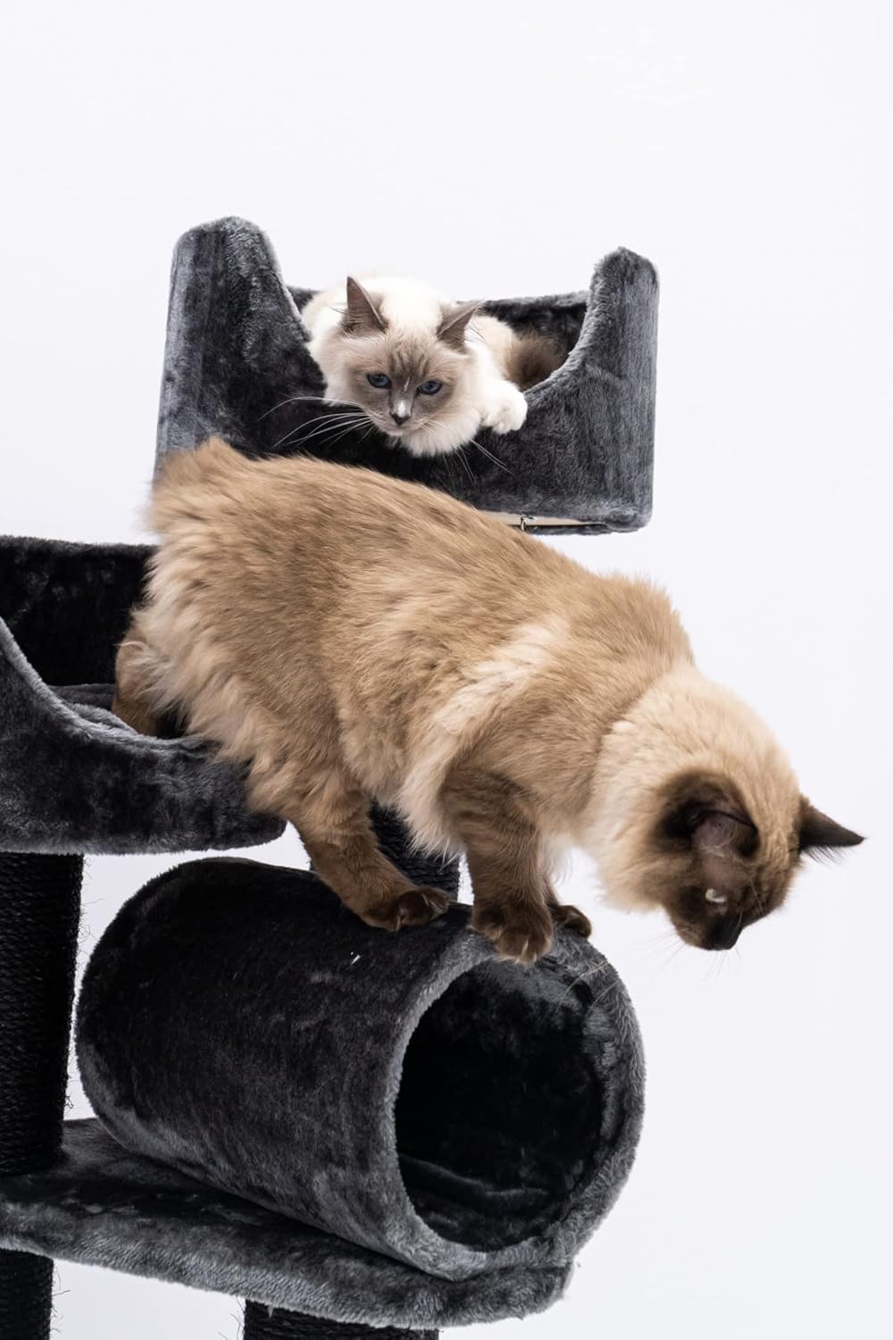 Krabpaal – Krabmeubel – Kattenpaal – Klimpaal – Zwart – Stevige Basis – Dikke Sisalstammen 12 cm