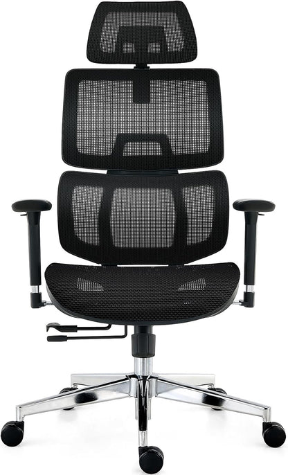 Ergonomic Office Chair, Fully Mesh Office Chair with Lumbar Support, Adjustable 3D Armrest, Headrest, Large and High Swivel Computer Chair (Effen - Black)