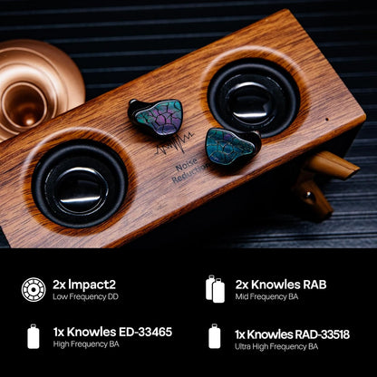 Hybride In-Ears – IEM – Oordopjes – HiFi Oortjes – In-Ear Monitor – 2DD+4BA Hybride Drivers – CNC-Aluminium Behuizing Met Modulaire 3,5/4,4mm-Kabel