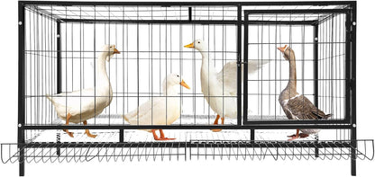 Chicken Coop with Automatic Egg Collection, 120 x 58 x 62 cm, Iron Modern for Indoor and Outdoor Use for 9-10 Chickens - QUORE