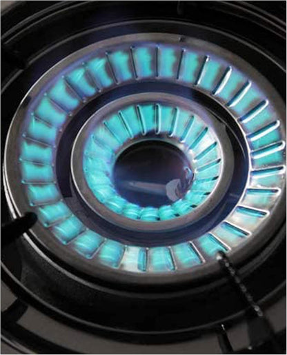 NJ-200SD Indoor Gasfornuis - 2 Brander Draagbaar Gaskookplaat LPG Fornuis 8.8kW