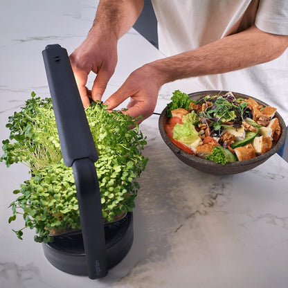 Smart Garden Starter Set - Indoor Garden met LED voor microgreens - incl. 12 biologische zaadpads - schaal van keramiek vulkanzwart - Scandinavisch design - klaar voor oogsten in slechts 7