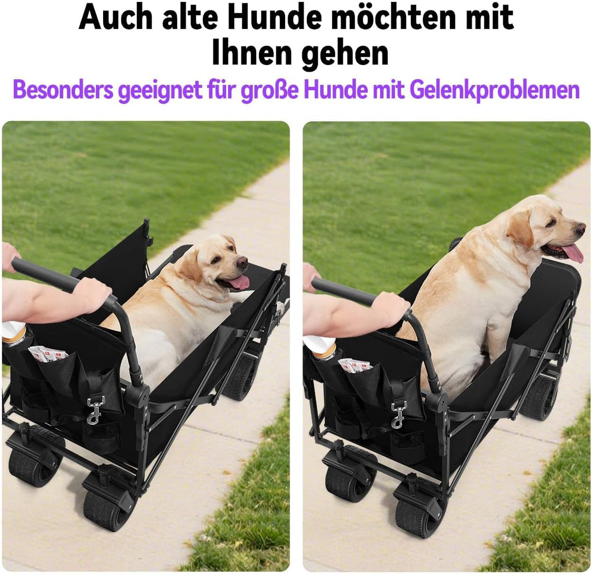 Hondenwagen tot 50 kg inklapbaar, hondenbuggy met luchtloze all-terrain banden en in hoogte verstelbare handgreep, achterdeur voor eenvoudig in- en uitstappen, voor grote honden, senioren honden