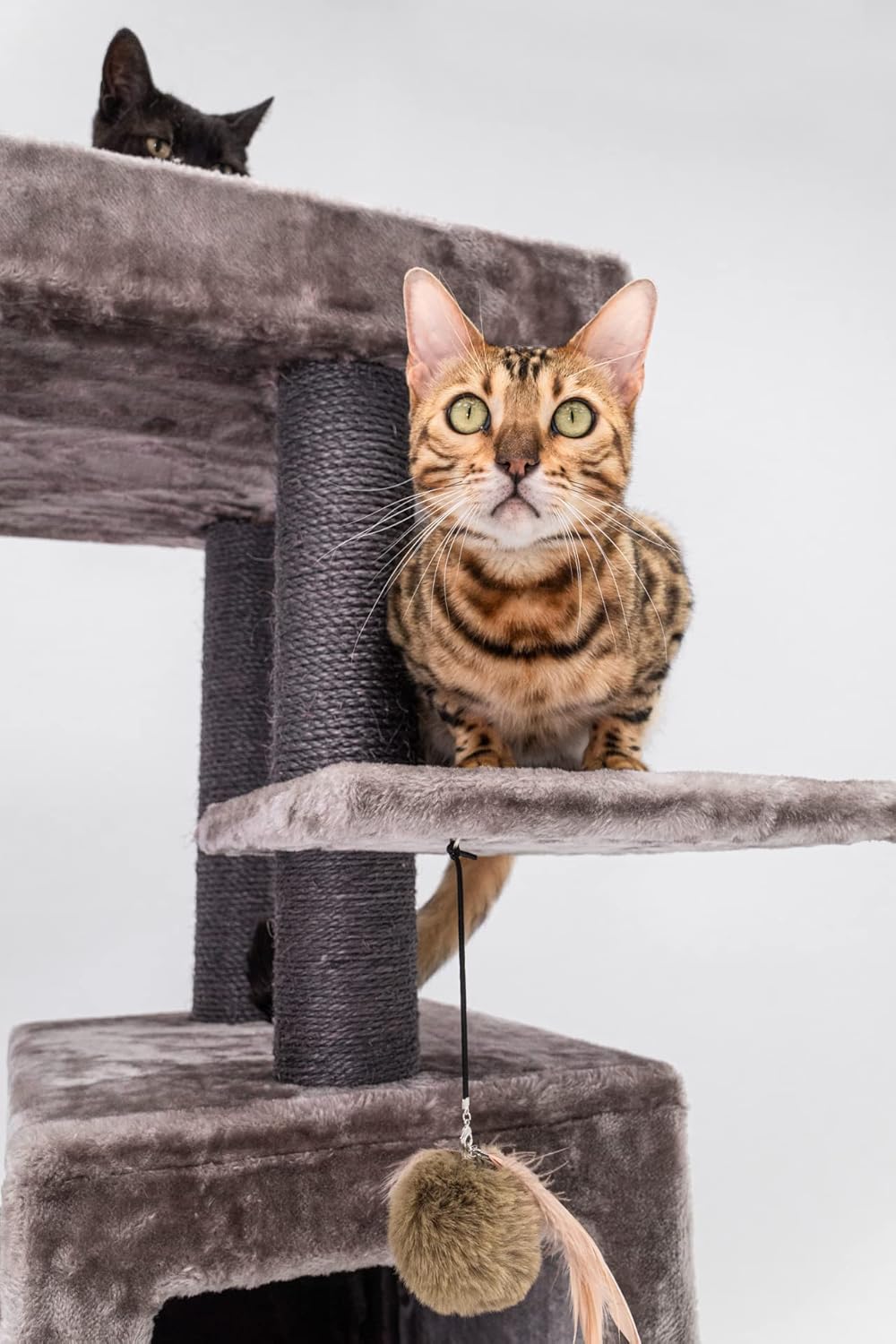 Krabpaal – Krabboom – Kattenboom – Kattenmeubel – Klimpaal – Luxe Cappuccino Design – Extra Dikke Sisalstammen Ø9 cm – Ruime Lange Loungemand