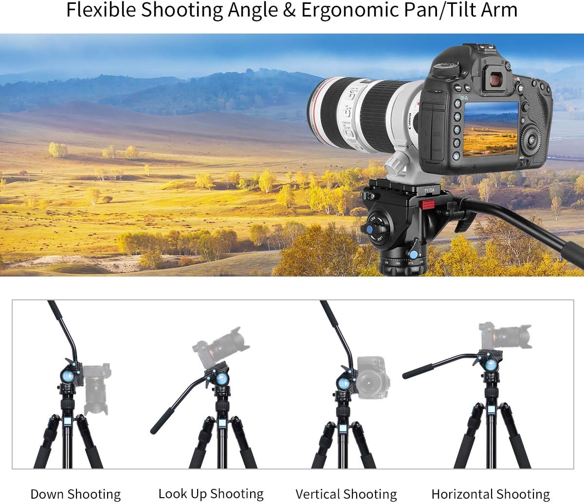 SIRUI AM-5V Fluid videokop, lichtgewicht, 360° panorama, draaibare kantelhoek met Arca Swiss snelkoppelingsplaat, draagkracht 3 kg, voor videocamera, DSLR-camera
