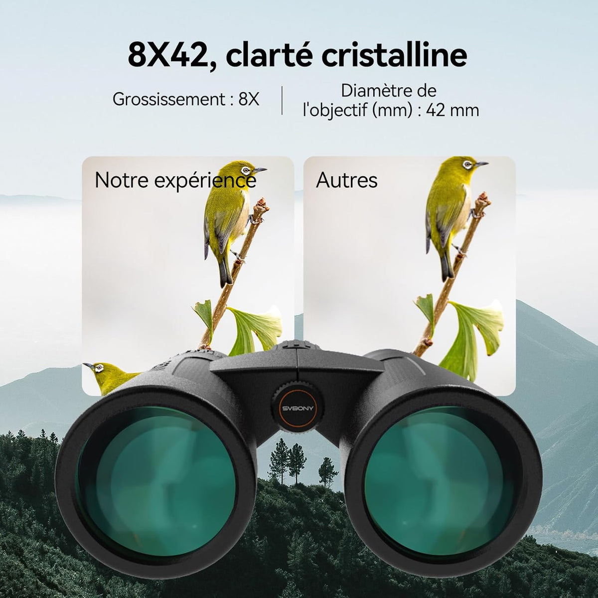 Svbony Upgraded SV202 8x42 ED Binoculars, BAK4 Prism FMC Lens, IPX7 Waterproof, Phase Correction, Dielectric Prism Coating, Wide Angle Lens for Adults, Bird Watching - QUORE