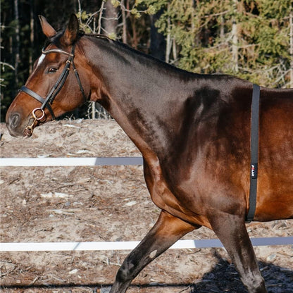 Polar Equine Hartslagmeter voor paardrijden