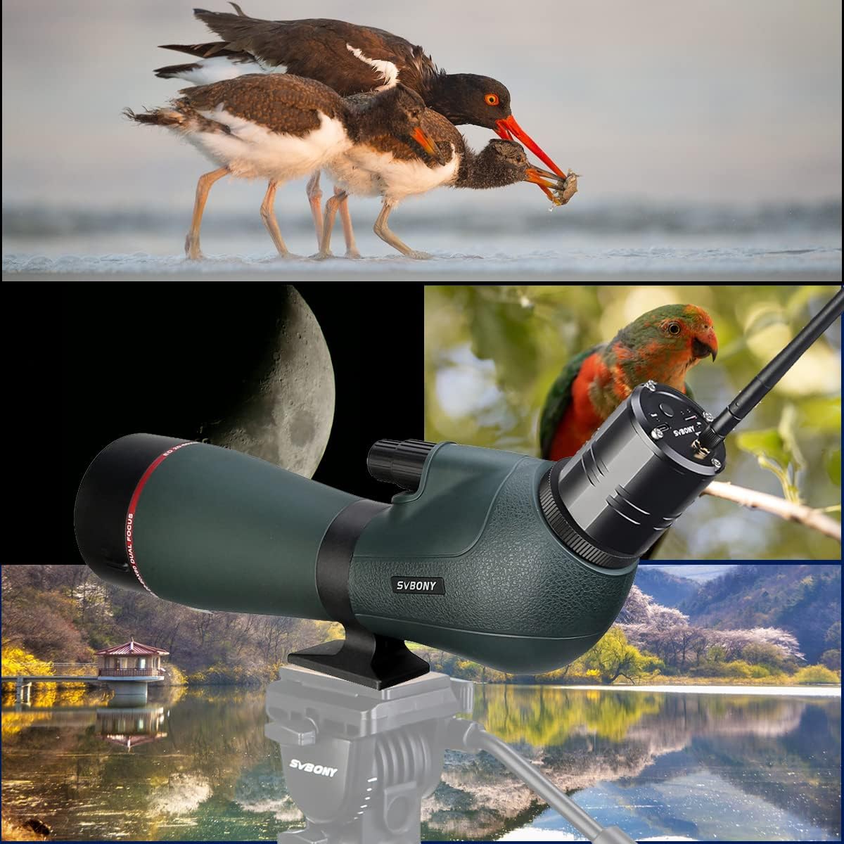 Spotting Scope – Verrekijker – Richtkijker – Observatiekijker – Vogelkijker – 20-60x Vergroting – 2MP Wifi Camera
