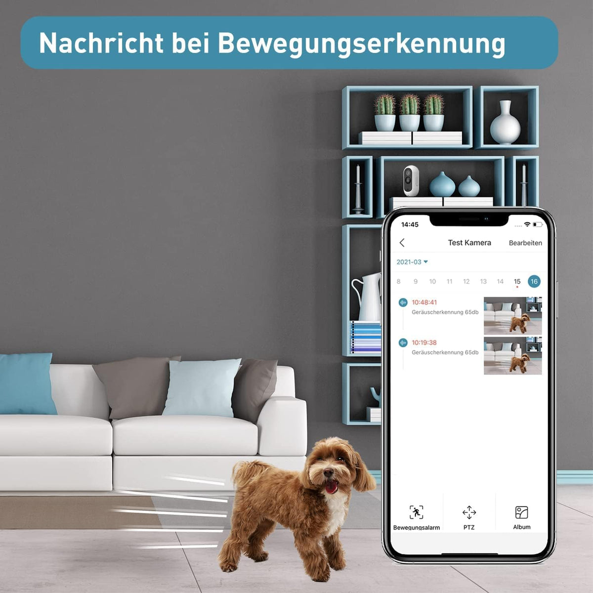 PetTec® Cam Free 2-delige set - Draadloze huisdiercamera hondencamera met app [ZONDER ABONNEMENT] - Katten & honden camera binnen/buiten - Bewegingsdetectie & spraakfunctie - Batterij tot 9 maanden