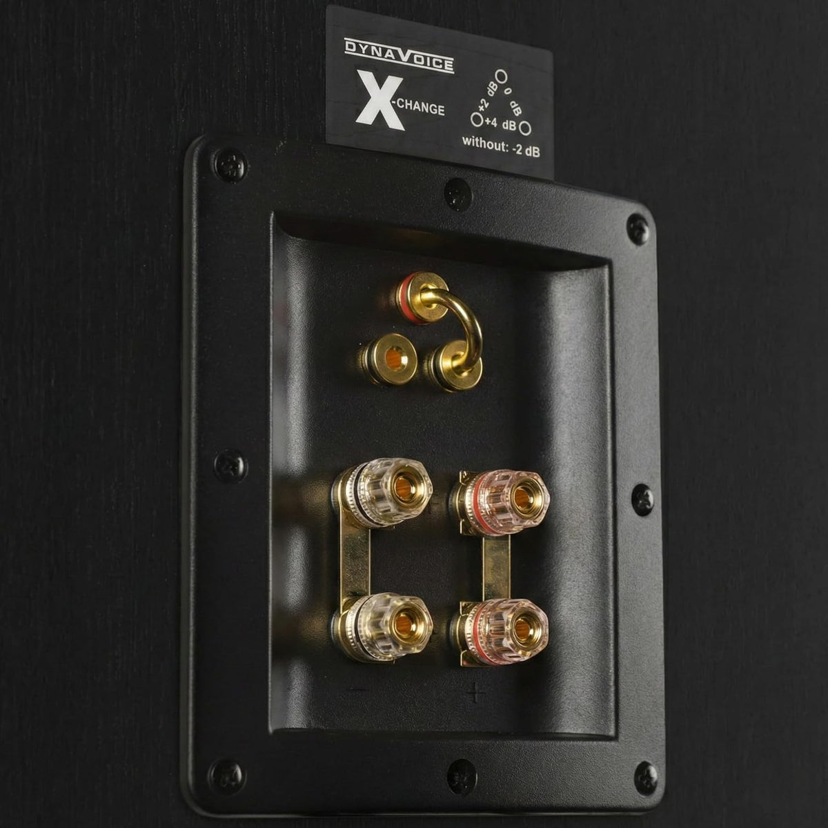 Dynavoice Definition DM-6 II Zwart – HiFi Boekenplank Luidsprekers Passief 6,5 Inch Kevlar, 2 Tweeters Ribbon + Soft Dome, X-Change Systeem, 35-32.000 Hz, 120W, 6 Ohm – Set van 2.