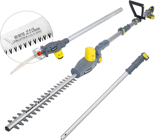 FANZTOOL 2-in-1 accu telescopische heggenschaar, hoogsnoeizaag, reciprozaag met 20 V/2 Ah Li-ion accu, snellader, 45 cm zwaardlengte, telescoopsteel tot 3,2 m, lichtgewicht zaag, ontworpen in JAPAN