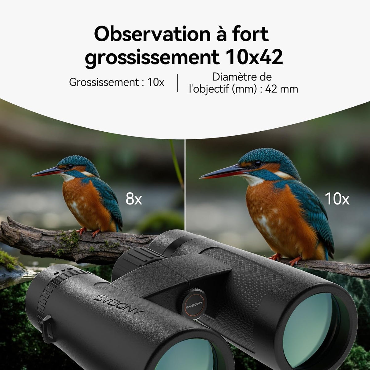 Svbony Upgraded SV202 10x42 ED Binoculars, BAK4 Prism FMC Lens, IPX7 Waterproof, Phase Correction, Dielectric Prism Coating, Wide Angle Lens for Adults, Bird Watching - QUORE