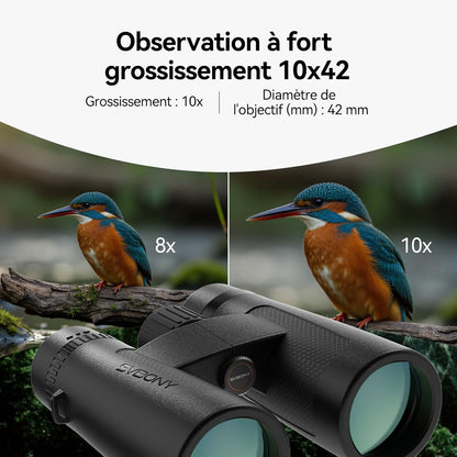Svbony Upgraded SV202 10x42 ED Binoculars, BAK4 Prism FMC Lens, IPX7 Waterproof, Phase Correction, Dielectric Prism Coating, Wide Angle Lens for Adults, Bird Watching - QUORE