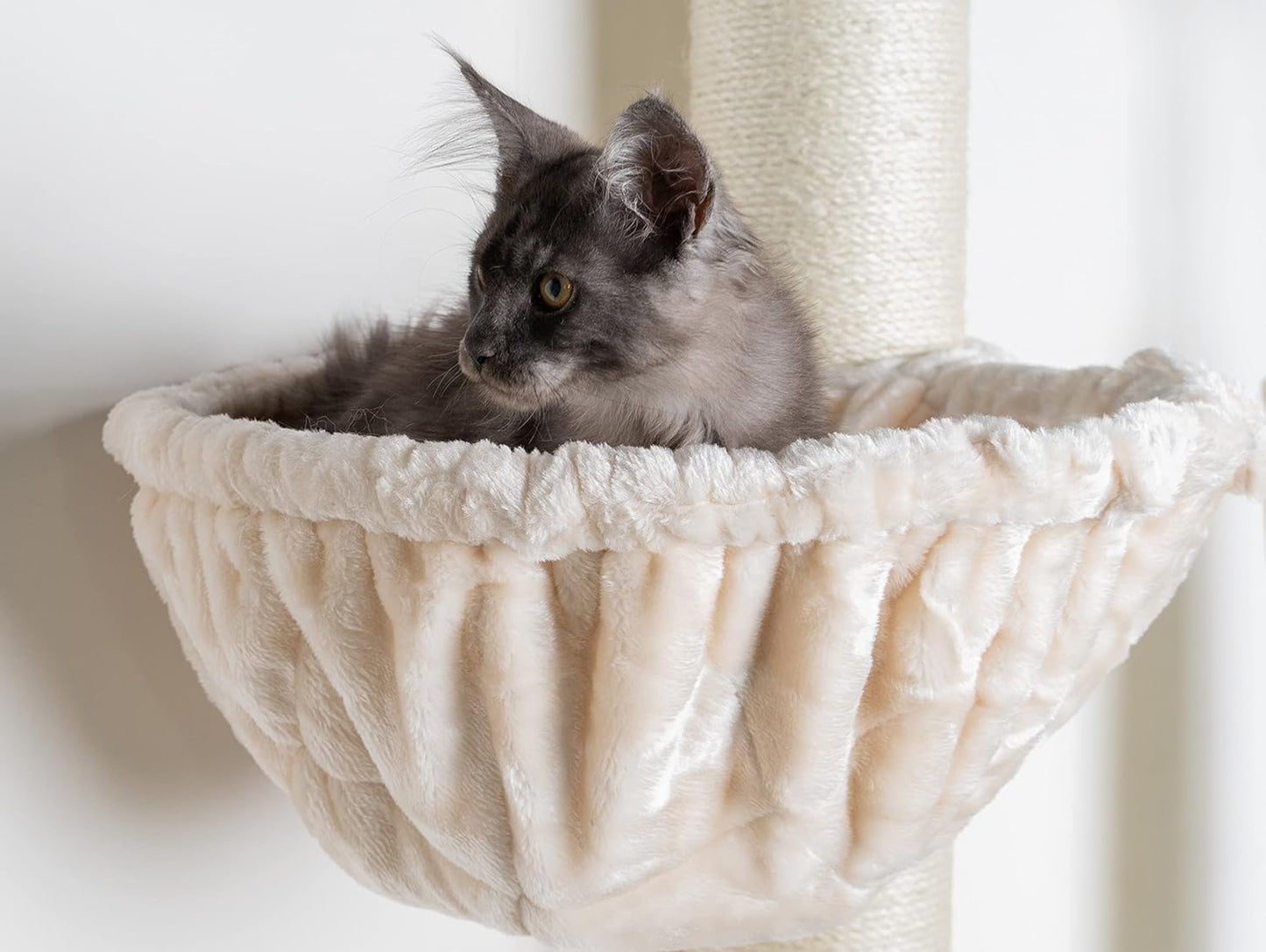 Krabpaal – Krabboom – Kattenmeubel – Klimpaal – De Luxe – Extra Stevige 20 cm Sisalstammen – Royale Hoogte 158 cm – Crème Kleur