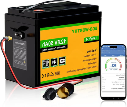 ECO-WORTHY LiFePO4 Battery 12V 50Ah Bluetooth BMS Low Temperature Protection and 4000-15000 Cycles 640Wh Lithium Battery for Rolling Motor, Boat - QUORE