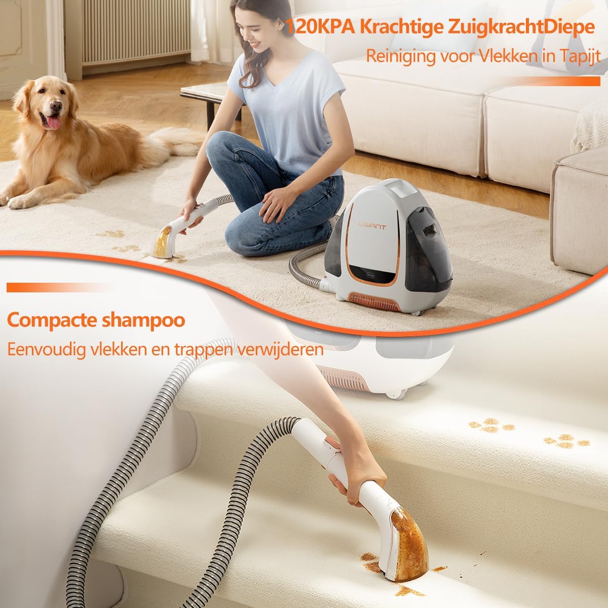Natzuiger – Nat- en Droogzuiger – Tapijtreiniger – Alleszuiger – Vloerreiniger – Sterke Zuigkracht 12.000 Pa – Stil 70 dB