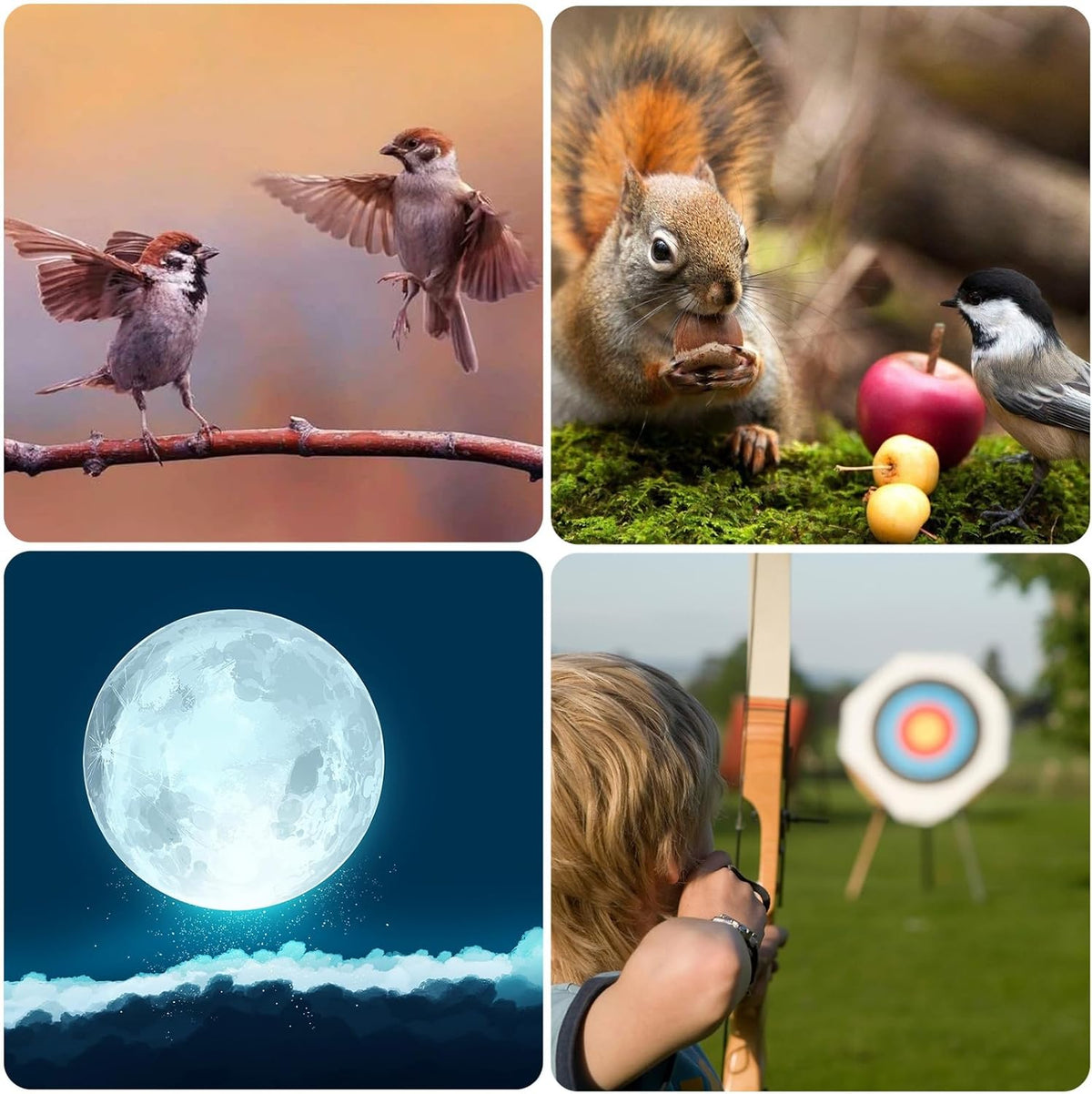 Gosky Bijgewerkt 20-60x80 spotting scope met statief en draagtas en smartphone-adapter - BAK4 schuine telescoop - waterdichte scope voor schieten, jacht, vogelobservatie, natuurlandschap