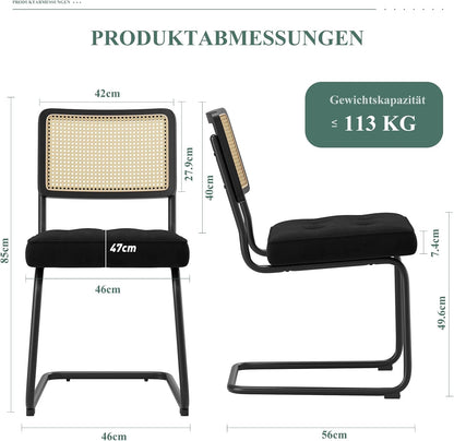 COLAMY Rotan eettafelstoelen, set van 2, fluwelen bekleding met metalen frame, zwart