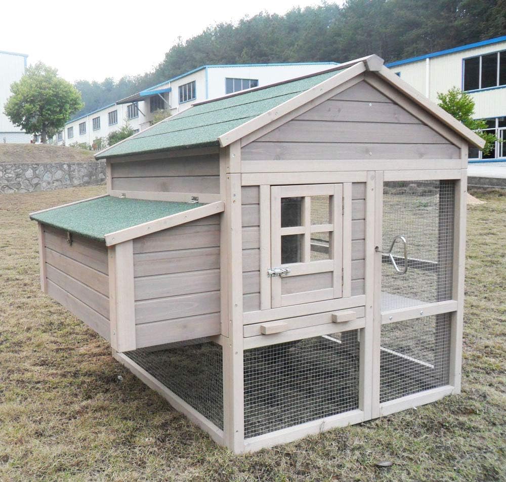 Winter-proof chicken coop, weatherproof, chicken house, XXL large quail coop, picker paradise, made of solid wood, suitable for 2-4 chickens, also as duck coop, rabbit hutch - QUORE