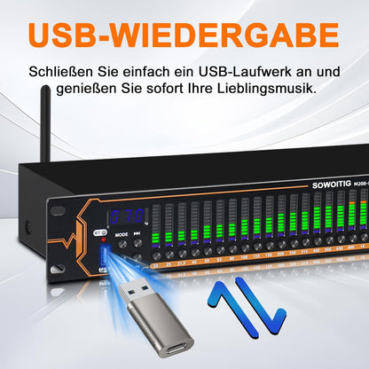 Stereo equalizer met 15-bands EQ voor thuisaudiosysteem, dual-channel DJ-equalizer