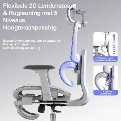 Ergonomische Bureaustoel met Voetensteun - 5-Zones Verstelbare Rugleuning, 2D Lendensteun, 3D Arm-/Hoofdsteun, 145° Kantelfunctie + Ademend Net voor Kantoor/Thuiswerk/Studie, Grijs