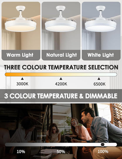CJOY Plafondventilator met licht, 107 cm, plafondventilator met 3 intrekbare messen, plafondventilator, stil, omkeerbaar, zomer en winter, 6 snelheden, timing, 3 kleurtemperaturen