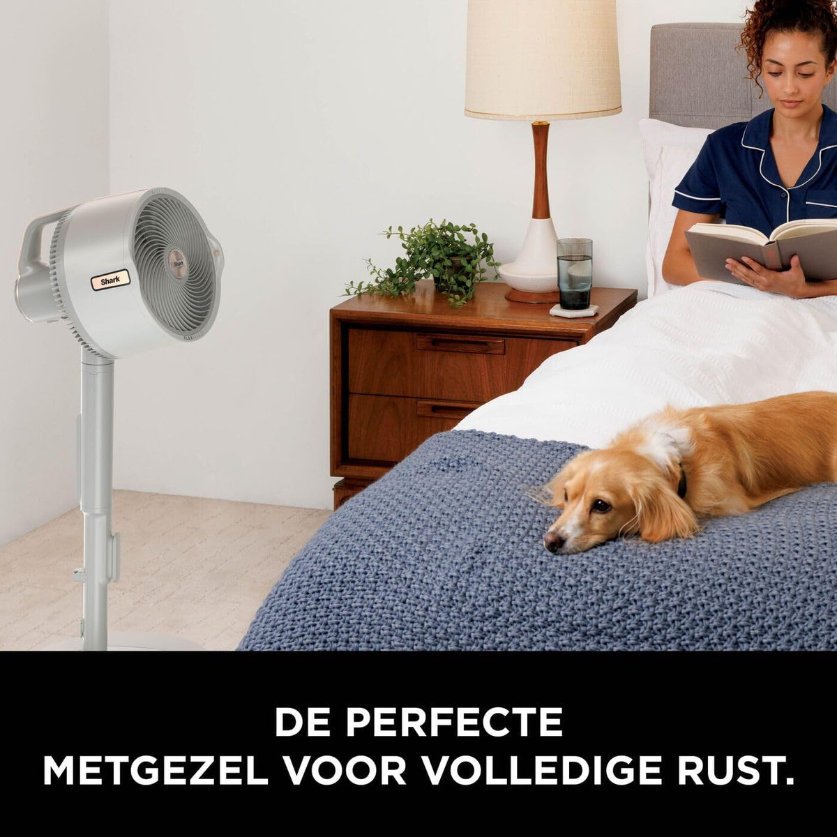 Shark FlexBreeze Pro Mist Snoerloze Binnen- & Buitenventilator, Verstuivingssysteem, Draagbare Tank, 20 m Reikwijdte, Voet- & Tafelmodel, 5 Snelheden, Stil, Afstandsbediening, Duifgrijs FA300WHEU