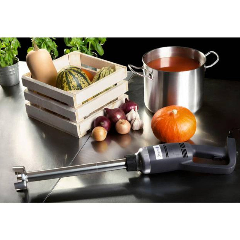 Staafmixer – Handmixer – Blender – Keukenmixer – Pureerstaaf – 500 Watt Vermogen – 40 cm RVS Mixarm
