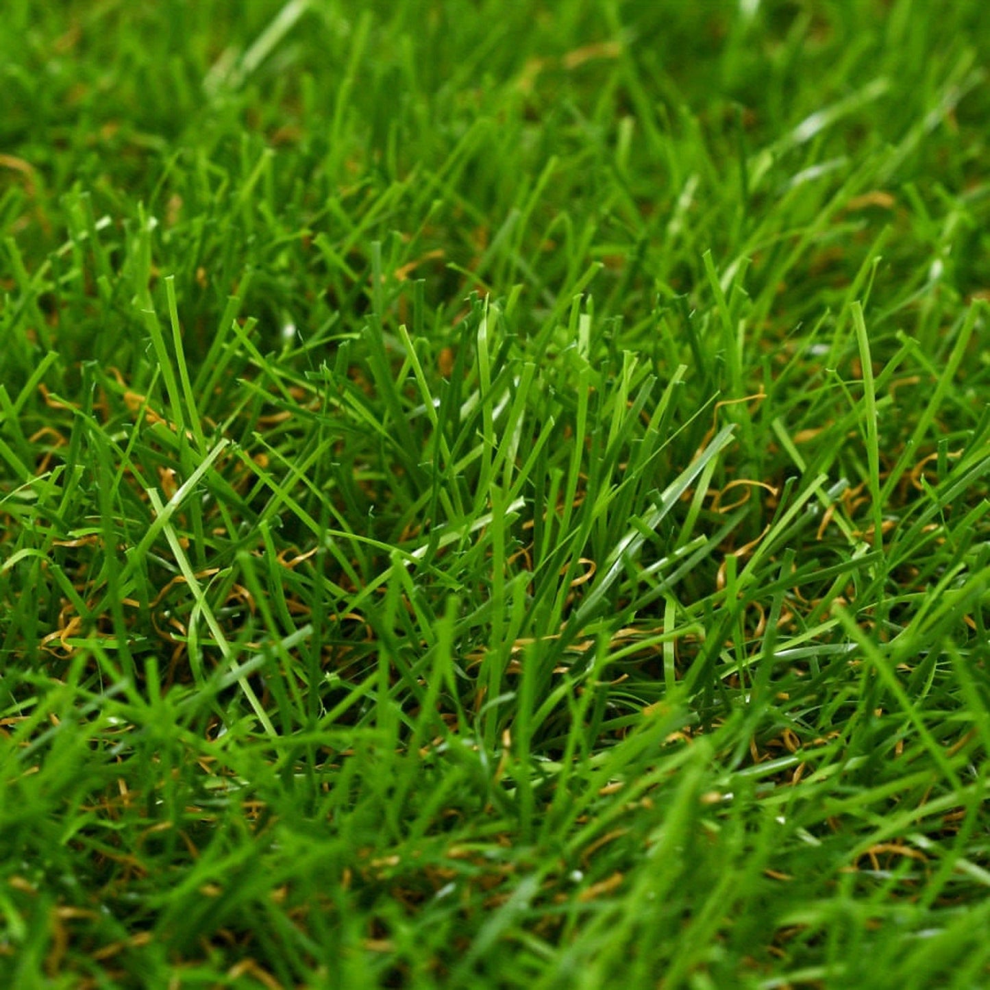 Kunstgras – Nepgazon – Kunstgrasmat – Siergras – Vloerkleed Gras – 10 Meter Rol – 30mm Hoog – Weerbestendig & Onderhoudsvrij