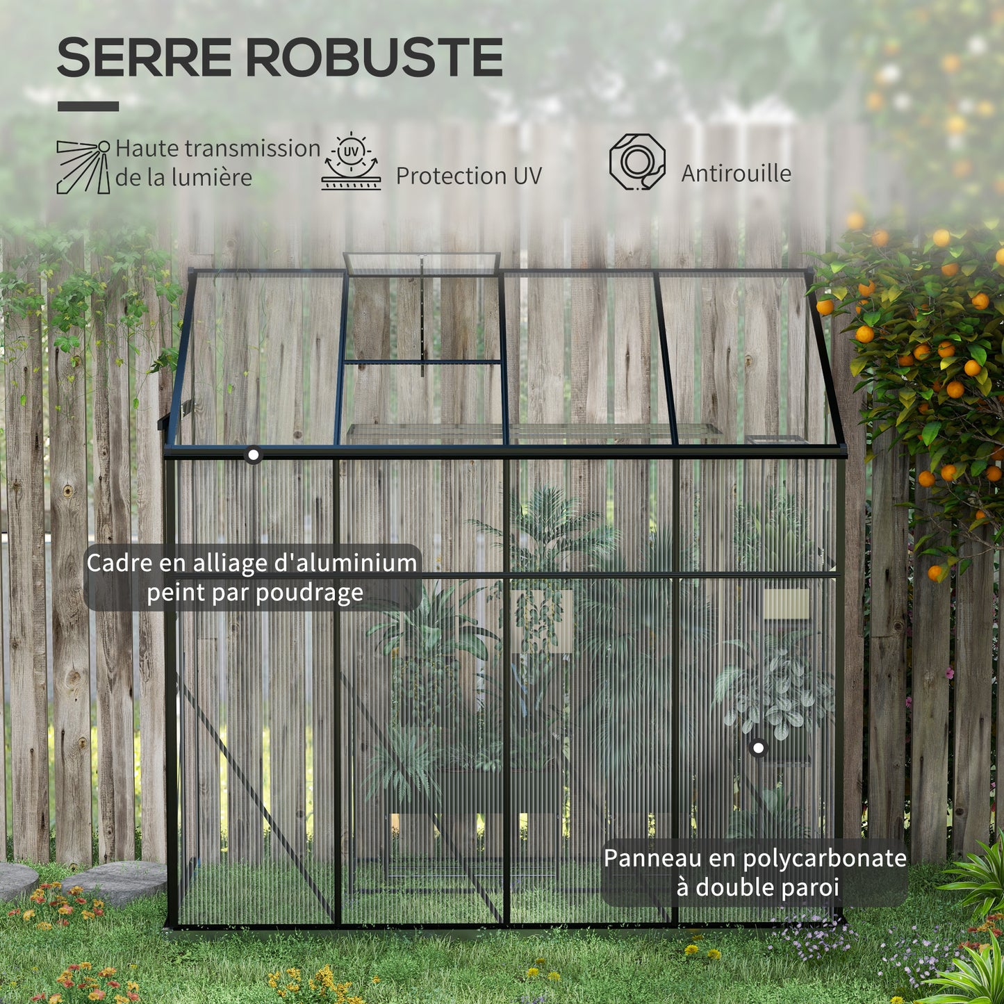 Kweekkas – Tuinkas – Kweekkas Achterkant – Mini Kas – Plantenkas – Aluminium Frame – Dubbelwandig Polycarbonaat – Schuifdeur – Verstelbare Dakventilatie